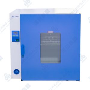 250℃鼓風(fēng)干燥箱